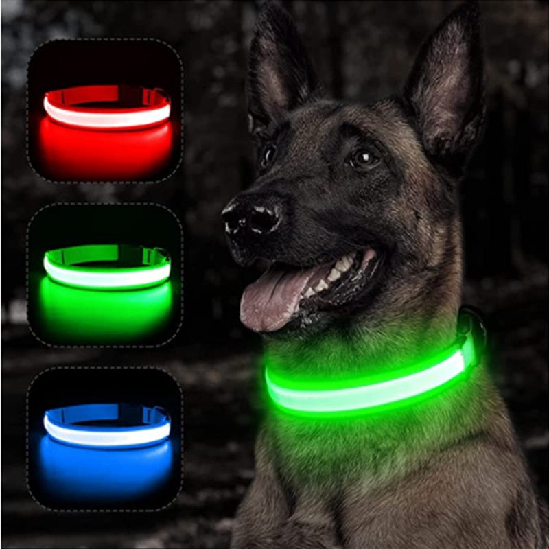 Collar LED para perro - Bema Store