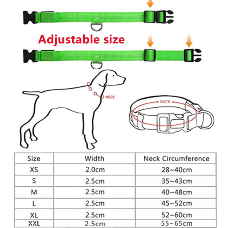 Collar LED para perro, luminosos y ajustables, antipérdida