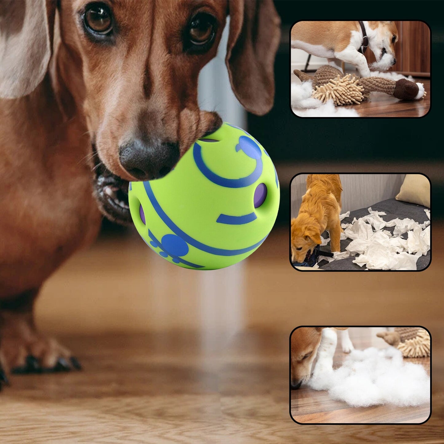 Pelota interactiva para perro, con sonido divertido para masticar y entrenamiento